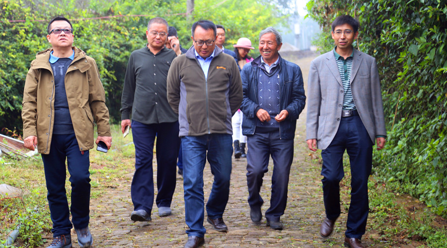 腾冲清水人口_腾冲市清水乡标志建筑(3)