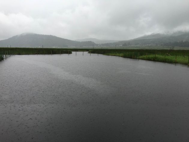 北海湿地2—秦飞摄