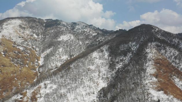 航拍香柏场 (15)