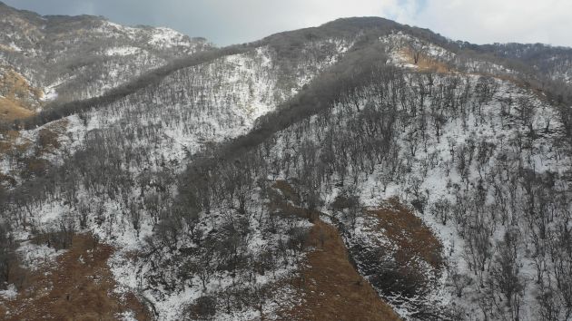 航拍香柏场 (11)