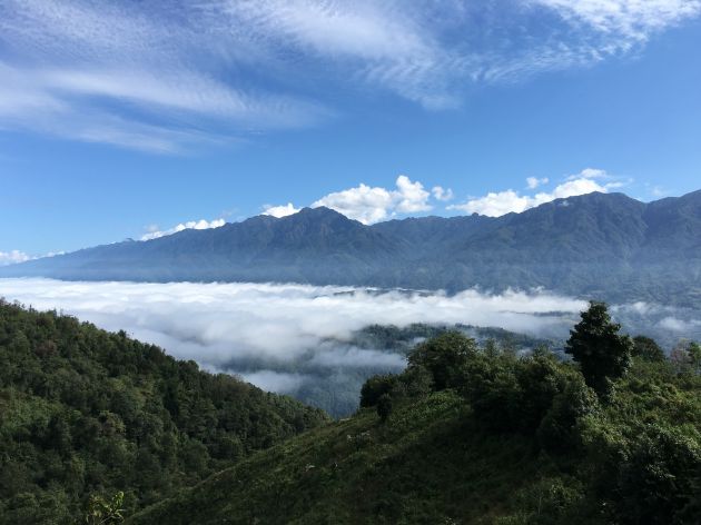 樱花谷1—番发武摄