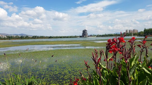 微信图片_20180707230636