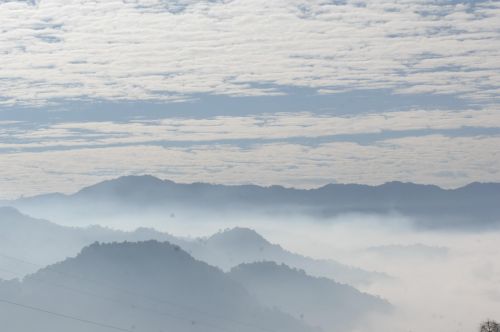 王新 046 13888986404