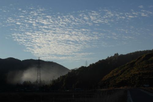 王新 045 13888986404