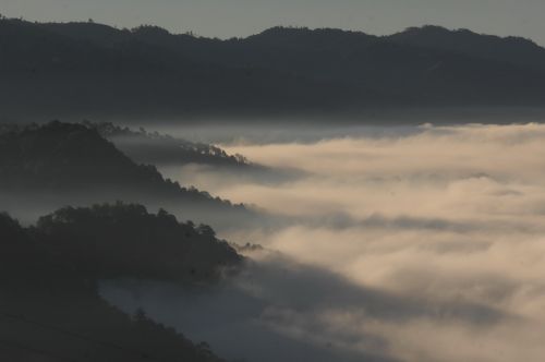 王新 048 13888986404