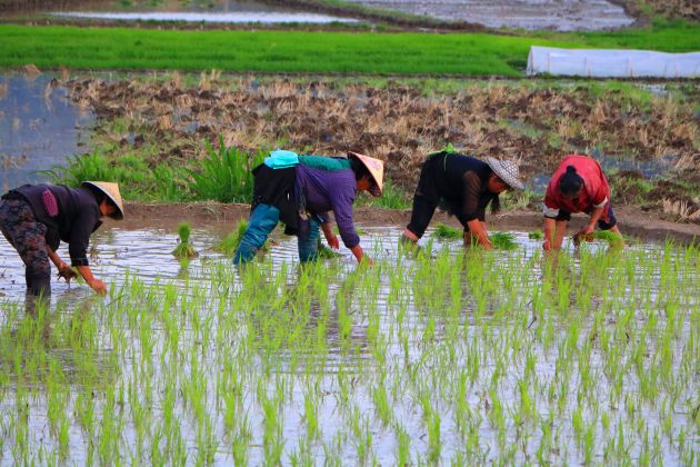 IMG_1000_副本_副本