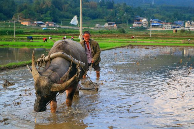 IMG_1018_副本_副本