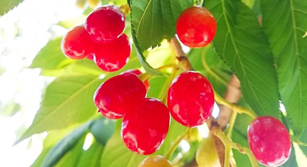 57bace63462a8c65df4a1d404a572c5