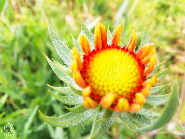 abb6b11d3b54aff812a167a6ad24aeb