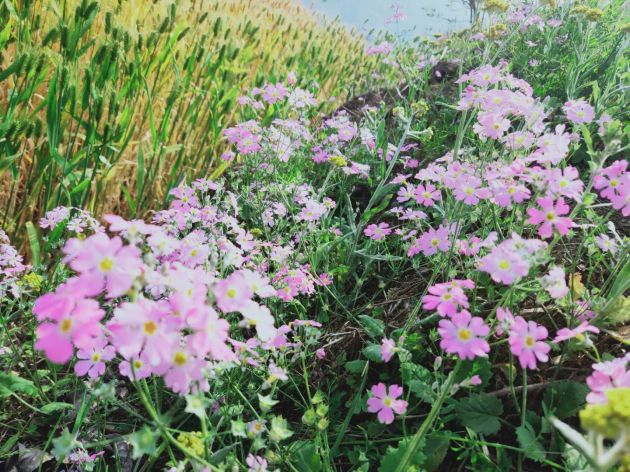 7c33fdb8d2754c633b6379876c1c023