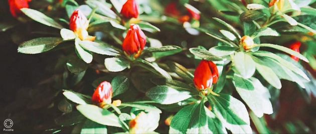 b1739d50b95280dd0dc52c938a38177