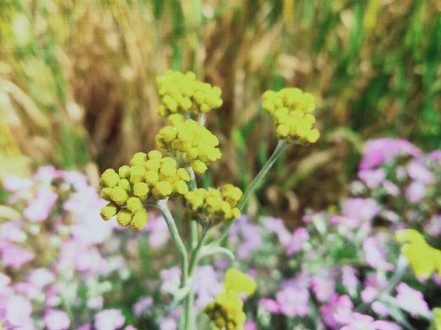 374aeb3d98c96b8616b00ca7e7fd0e6