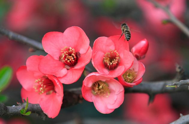 20160710200355_a24PZ